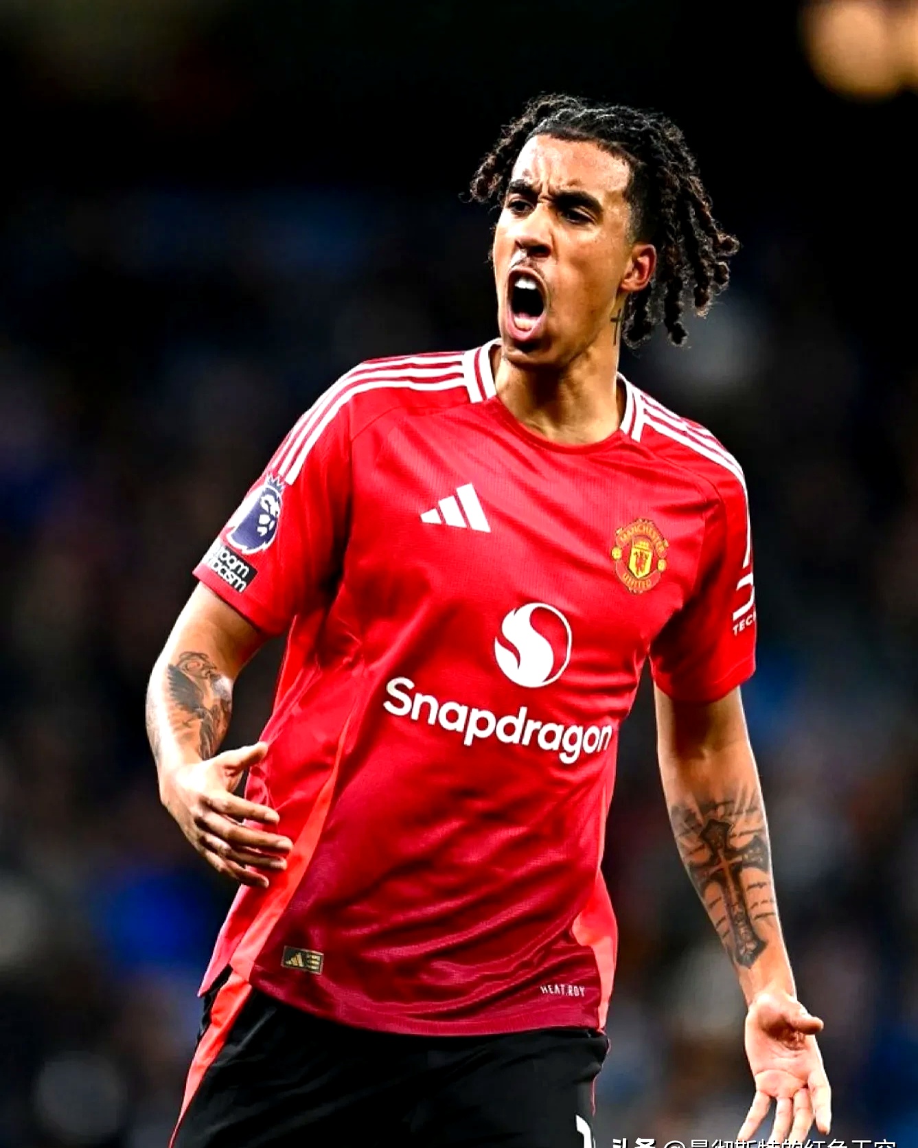 足总杯免费观看